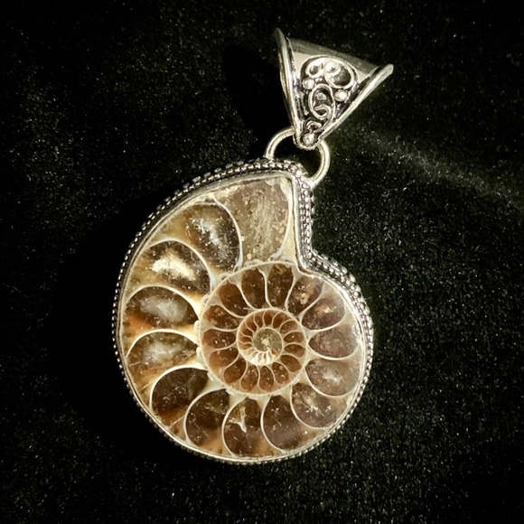 Ammonite fossil gemstone pendant - Picture 2 of 4
